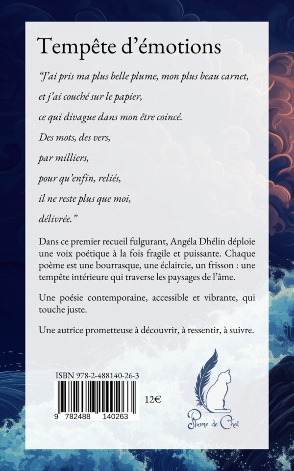 Tempête d’émotions – Image 2